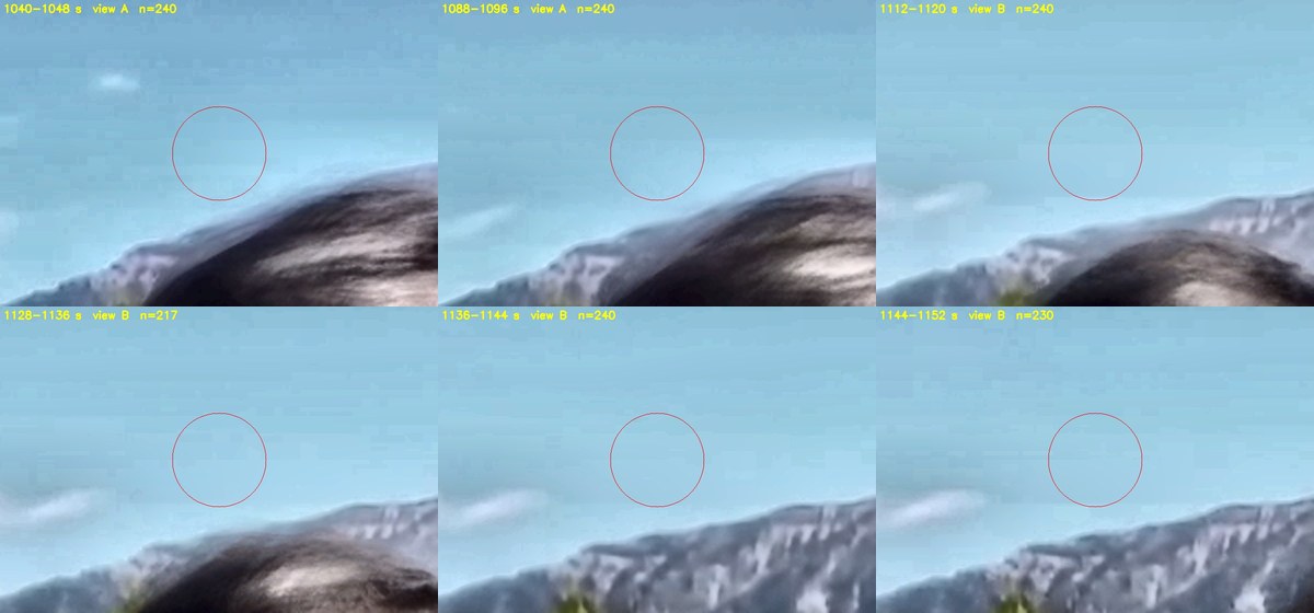 The sky around the drone position, frames combined in 8-second groups from 137 to 25 seconds before the shot. The ring is one degree in radius.